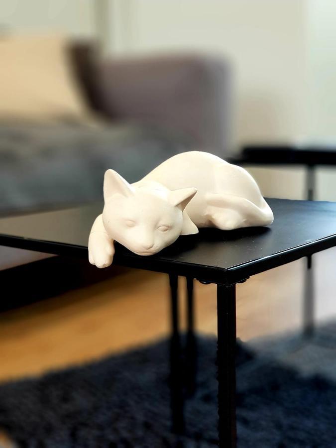 Le Chat D'Or - 35M2 - Terrasse - Bbq - Wifi Hd Amiens Esterno foto