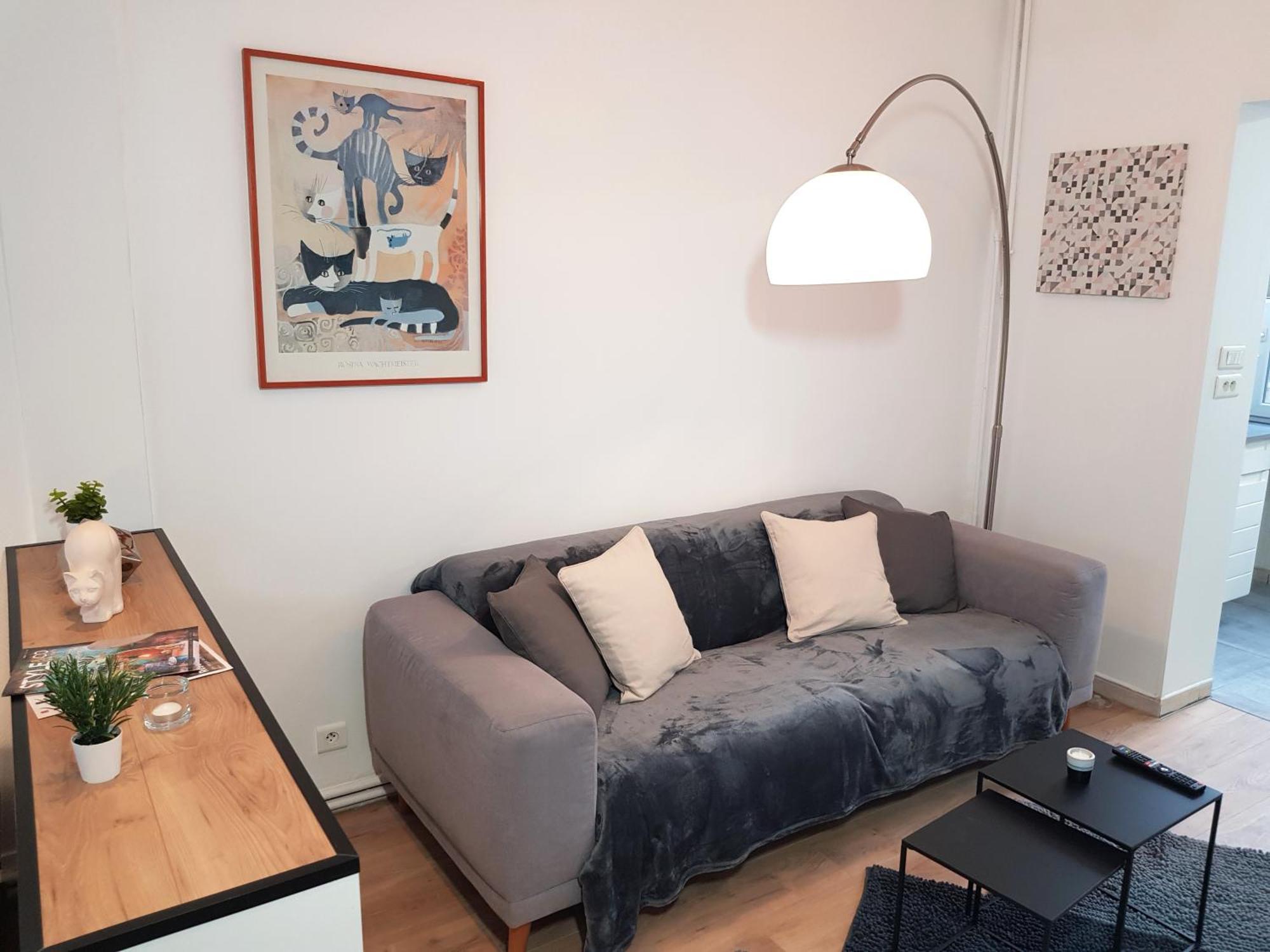 Le Chat D'Or - 35M2 - Terrasse - Bbq - Wifi Hd Amiens Esterno foto